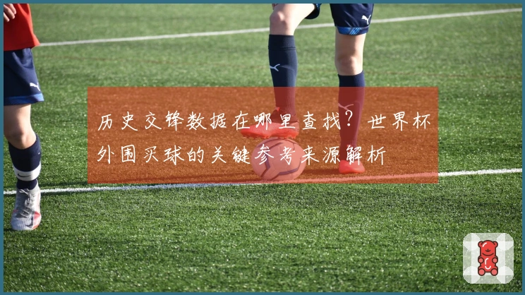 历史交锋数据在哪里查找?世界杯外围买球的关键参考来源解析