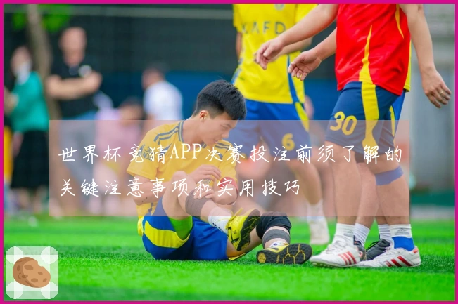 世界杯竞猜APP决赛投注前须了解的关键注意事项和实用技巧