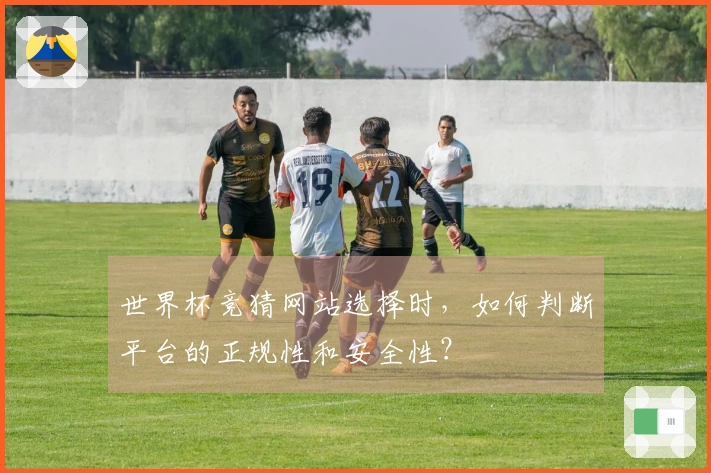 世界杯竞猜网站选择时，如何判断平台的正规性和安全性？