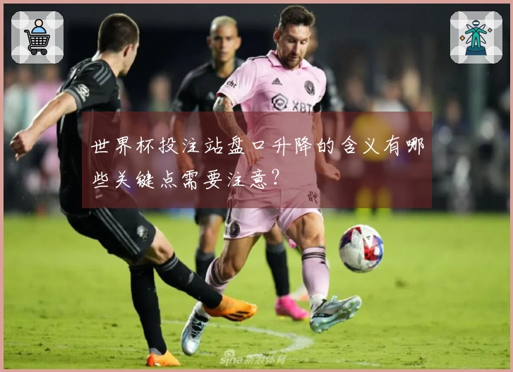 世界杯投注站盘口升降的含义有哪些关键点需要注意？