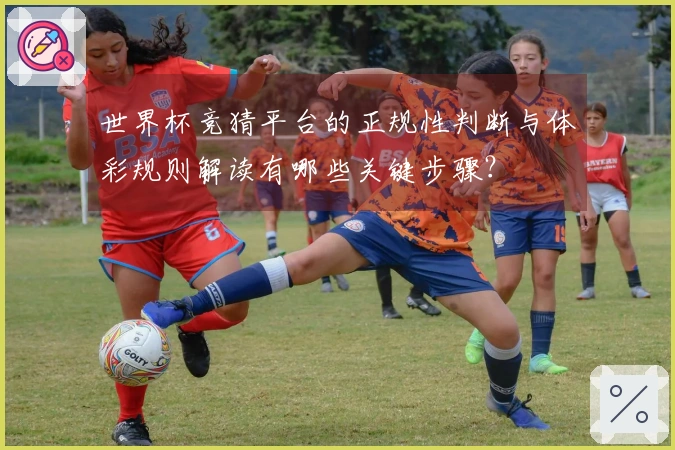 世界杯竞猜平台的正规性判断与体彩规则解读有哪些关键步骤？