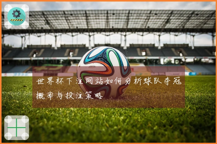 世界杯下注网站如何分析球队夺冠概率与投注策略