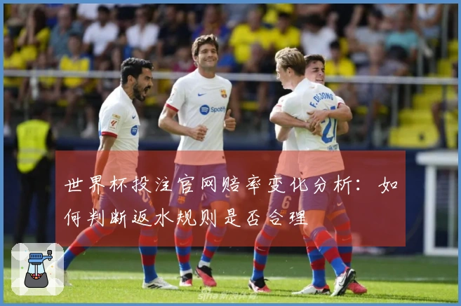 世界杯投注官网赔率变化分析：如何判断返水规则是否合理