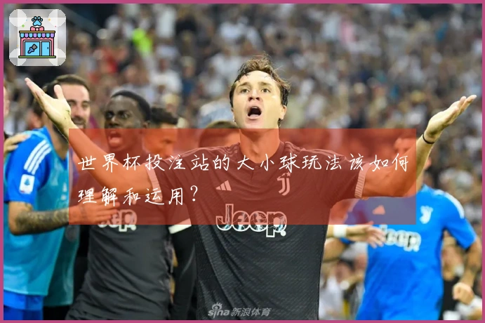 世界杯投注站的大小球玩法该如何理解和运用？