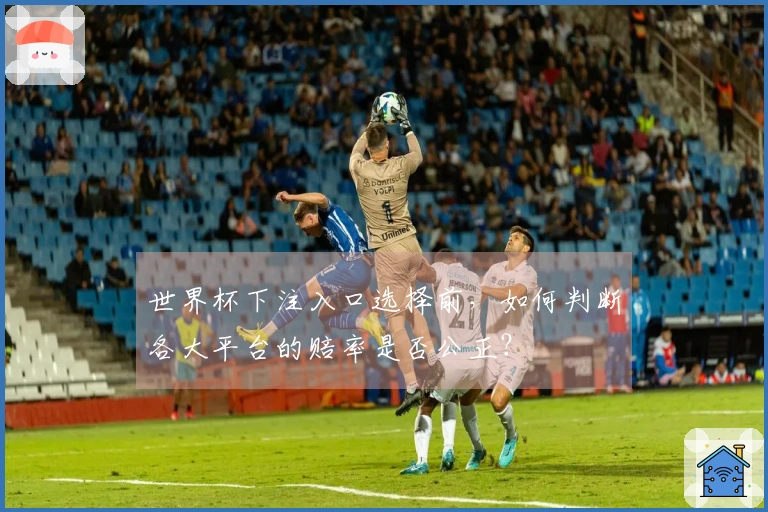 世界杯下注入口选择前，如何判断各大平台的赔率是否公正？