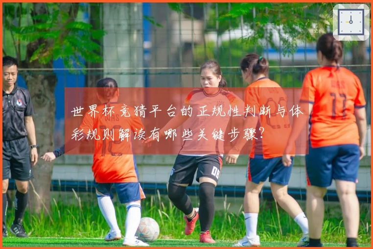世界杯竞猜平台的正规性判断与体彩规则解读有哪些关键步骤？