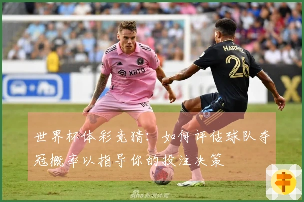 世界杯体彩竞猜：如何评估球队夺冠概率以指导你的投注决策